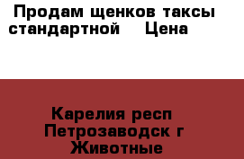 Продам щенков таксы (стандартной) › Цена ­ 4 000 - Карелия респ., Петрозаводск г. Животные и растения » Собаки   . Карелия респ.,Петрозаводск г.